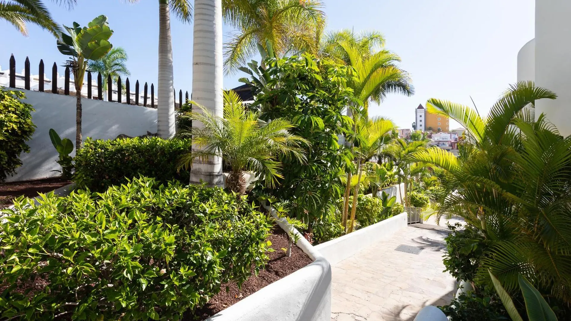 The Paradise Suites By Anne, Charm Apartment In Adeje アデヘ スペイン